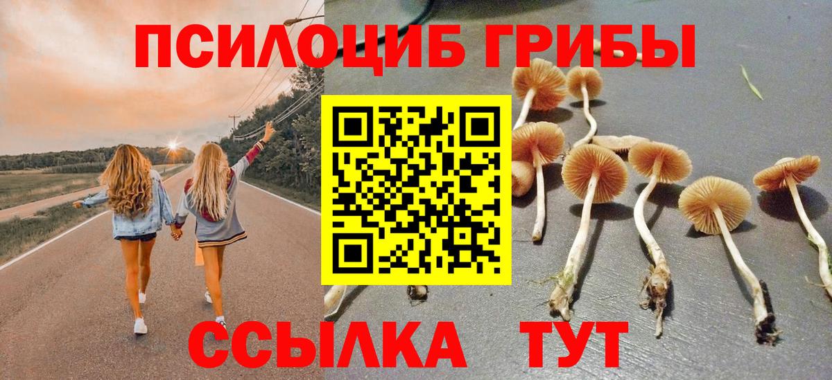 Галлюциногенные грибы GOLDEN TEACHER Елец