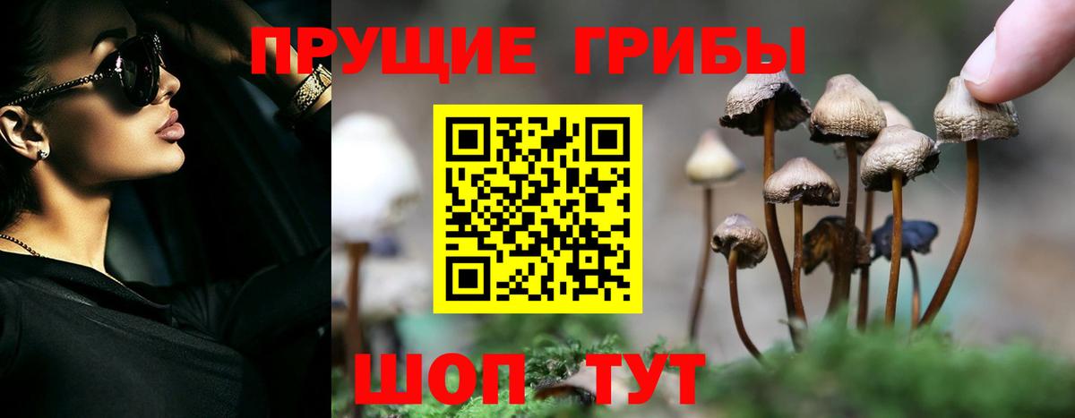 Елец  Галлюциногенные грибы GOLDEN TEACHER  продажа наркотиков  Вход с VPN 